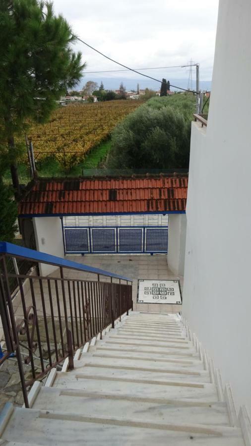 Kostas Family House Apartman Káto Ássos Kültér fotó